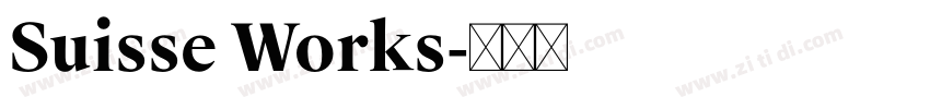 Suisse Works字体转换